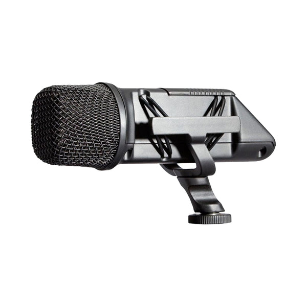 Camera mics