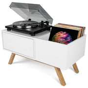 Turntable Lowboard Glorious Retro Kastje