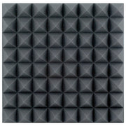 ASM-01 DAP AUDIO 