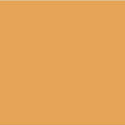 E-COLOUR #205 1/2 CT ORANGE ROSCO