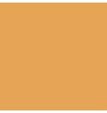 E-COLOUR #205 1/2 CT ORANGE ROSCO