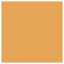 E-COLOUR #205 1/2 CT ORANGE ROSCO