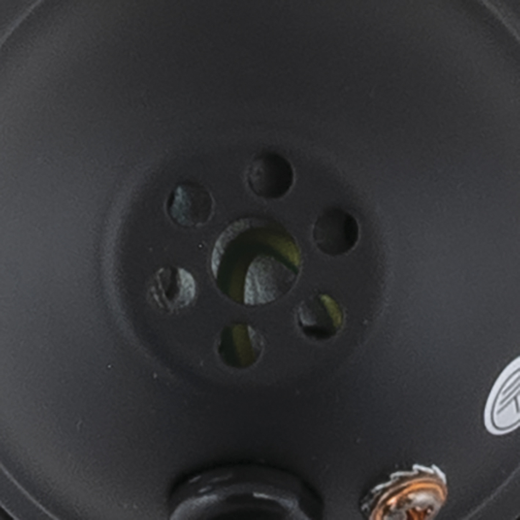 Par 16 Showtec GU5.3 (Zwart)