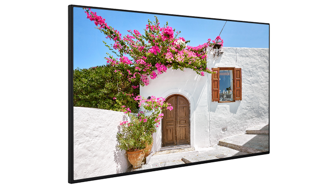 QN65B/4 65" Professional Display VESTEL