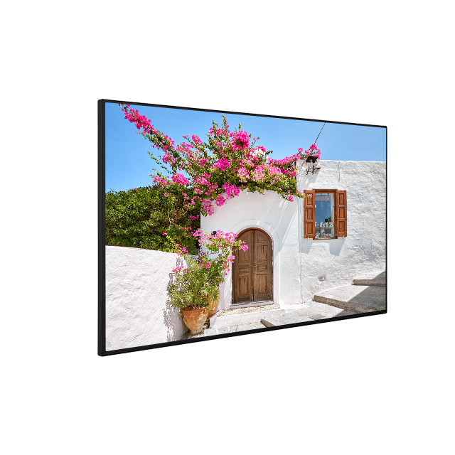QN65B/4 65" Professional Display VESTEL