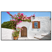 QN65B/4 65" Professional Display VESTEL