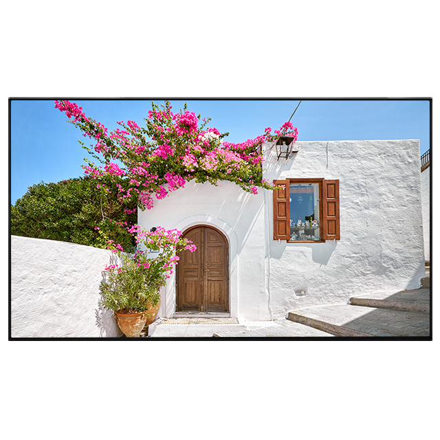 QN65B/4 65" Professional Display VESTEL