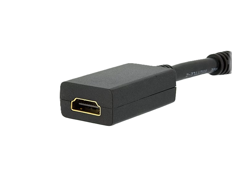 DP2HDMI2 Startech Adapter Displayport naar HDMI