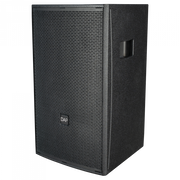 NRG-12 DAP 12-inch Passieve luidspreker 