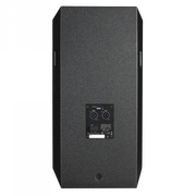 NRG-12 DAP 12-inch Passieve luidspreker 