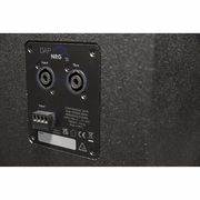 NRG-12 DAP 12-inch Passieve luidspreker 