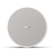 DESIGNMAX DM2C-LP WIT BOSE Professional (PAAR)