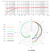 X1 A sE Electronics Condensator Microfoon