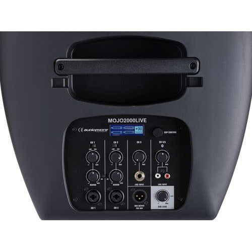 MOJO2000LIVE AUDIOPHONY