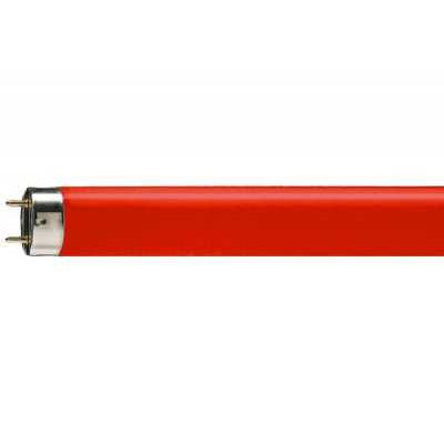 TL LAMP 150CM 58 WATT Rood OSRAM