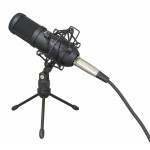 Tm-70 Dynamic Podcasting Mic Tascam